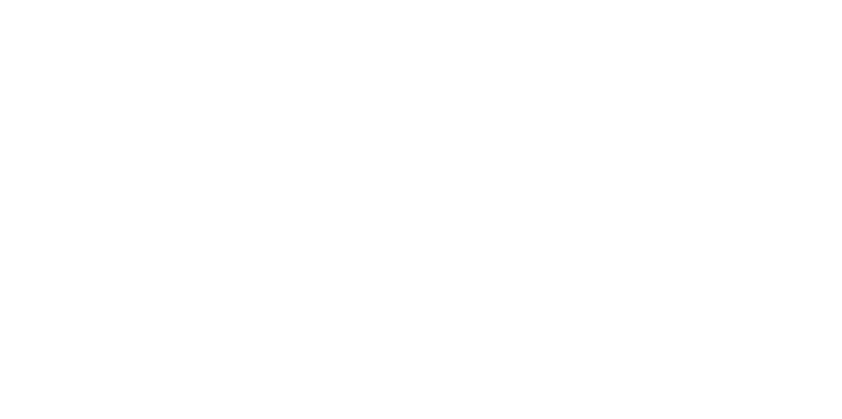 DAS International